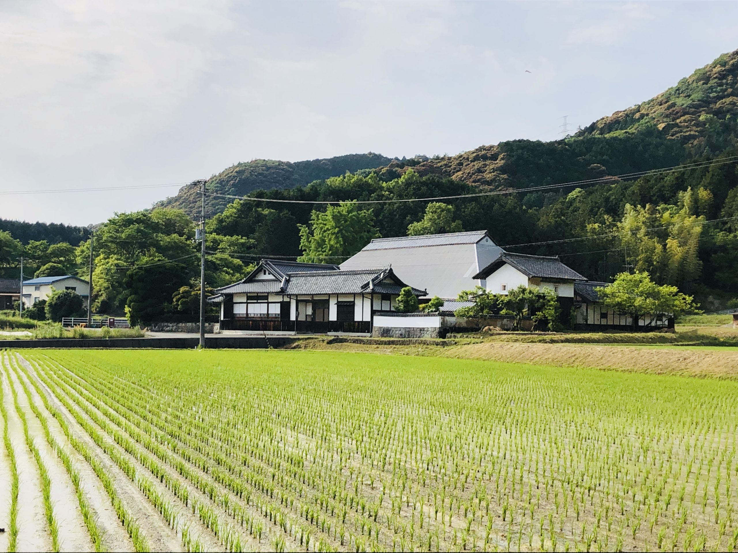 骨董品 壺 花瓶 窯焼 アンティーク 古 - 工芸品